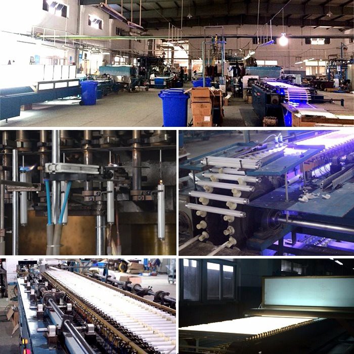 product line of T5 8W BL UVA 365nm product line of T5 8W BL UVA 365nm