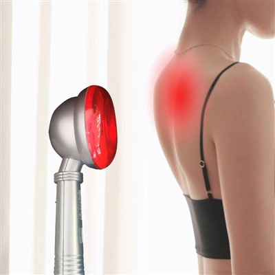 Ydych chi wedi Cadw Eich Anifeiliaid Anwes yn Gynnes yn y Gaeaf